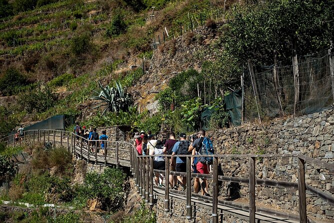 Private Cinque Terre Tour​ From Florence With Optional Hiking - Inclusions and Highlights