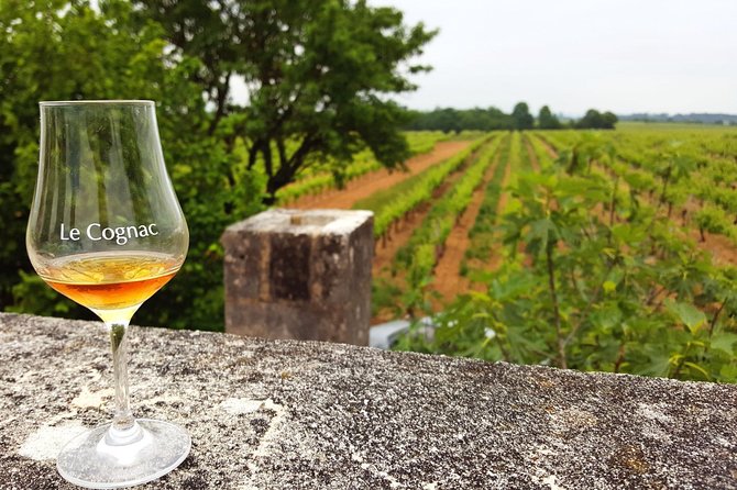 Private Day-Tour From Cognac : Vineyard and Craft Distilleries With Tastings - Good To Know