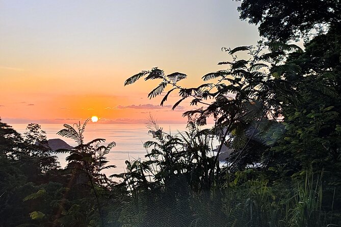 Private Day Tour in Seychelles - Key Points