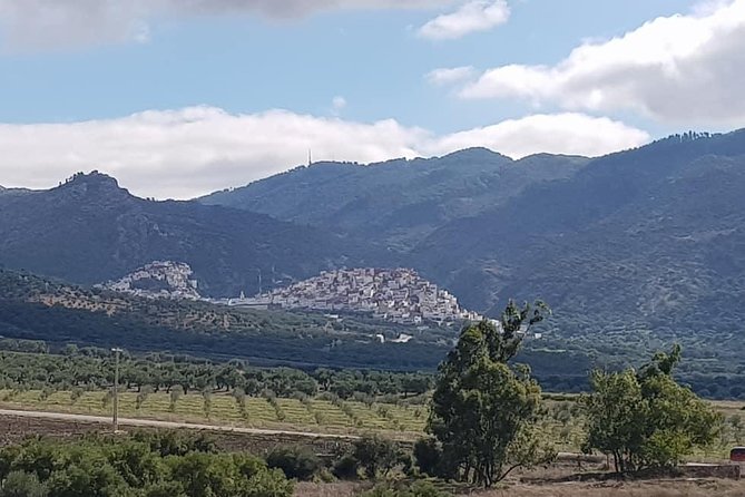 Private Day Trip to Volubilis, Moulay Idriss, and Meknes From Fez (Fes) - Overview of the Trip