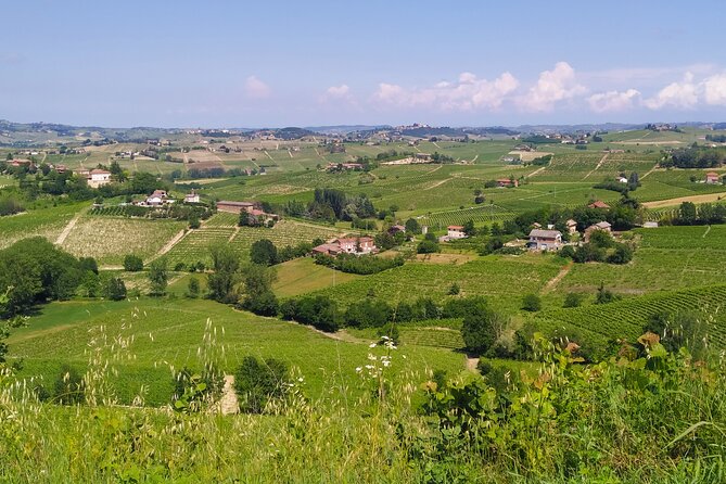 Private E-Bike Tour Monferrato Di Canelli – Asphalt Only