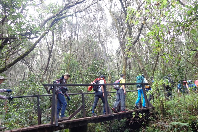 Private Full-Day Hiking Tour in Mount Kilimanjaro - Good To Know