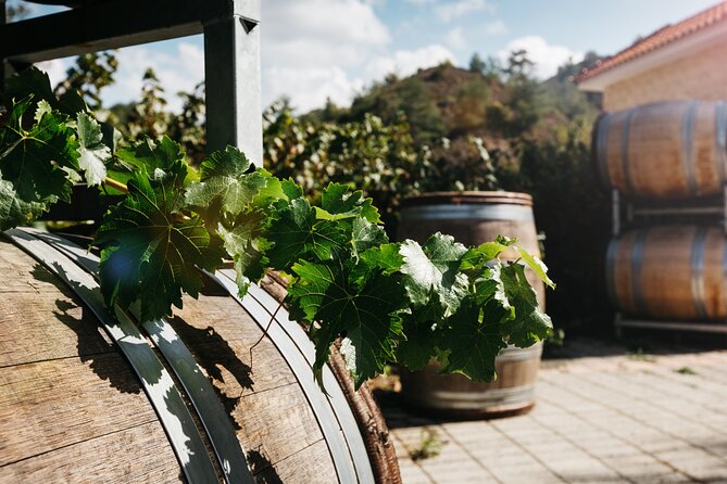 Private Full-Day Tour in Lanarca With a Visit to a Winery - Good To Know
