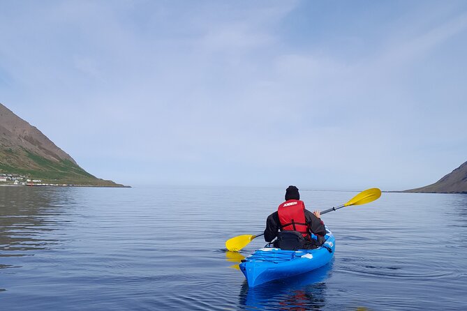 Private: Guided Kayak Tour in Siglufjörður / Siglufjordur. - Good To Know