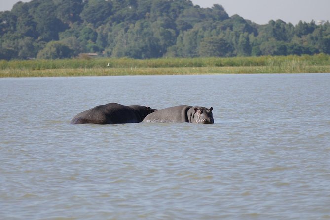 Private Guided Tours To Bahir Dar Lake Tana Monastery & Blue Nile Waterfalls - Good To Know