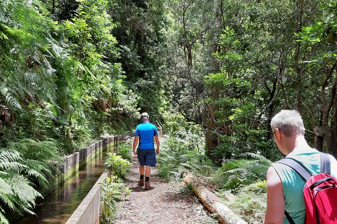 Private Guided Walk Levada Faja Dos Rodrigues Half-Day - Good To Know