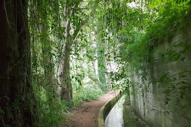 Private Guided Walk Levada Monte to Palheiro Ferreiro - Good To Know