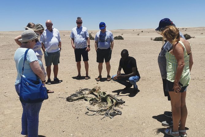 Private Half Day Coast Tour of Walvis Bay and Swakopmund City - Good To Know