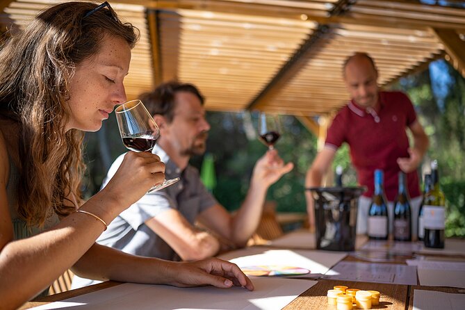 Private Half-Day Languedoc Wine Tour Review - Key Points