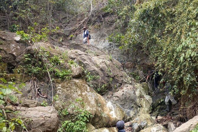 Private Hike to Wildlife Wonders at Parrot Mountain of Villanueva - Good To Know