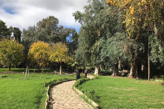 Private Historical Fez Guided Tour Including All Entrance Fees - Tour Highlights
