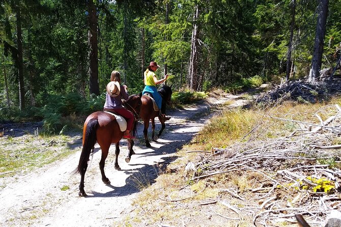Private Horse Riding Tour To the Perelik Top in Smolyan - Key Points