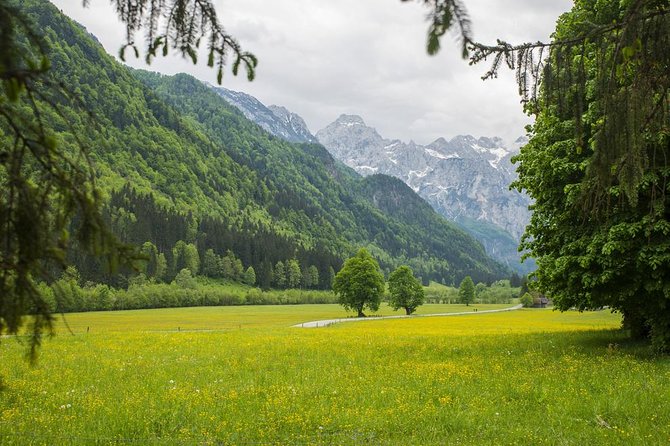 Private Logar Valley & Alpine Fairytale Tour From Ljubljana - Key Points