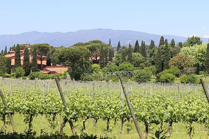 Private Lucca Wine Tour With Lunch and Tastings - Key Points