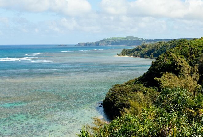 Private Luxury Tour of Kauai: North & East Shores - Good To Know