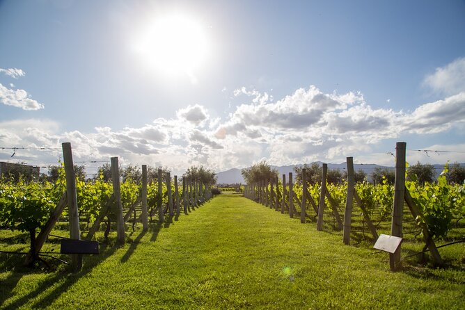 Private Maipu Valley Wine Tour From Mendoza - About Your Stay
