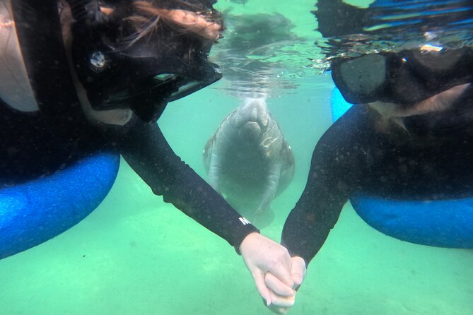 Private Manatee Swim Tour - Good To Know