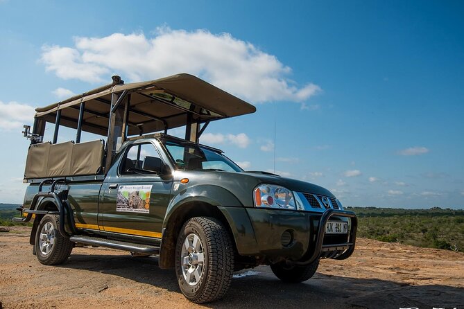 Private Morning Game Drive From Hazyview L Kruger National Park - Good To Know