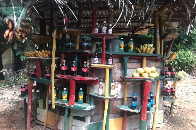 Private Ocho Rios Highlights Tour With Pickup - Tour Overview and Highlights