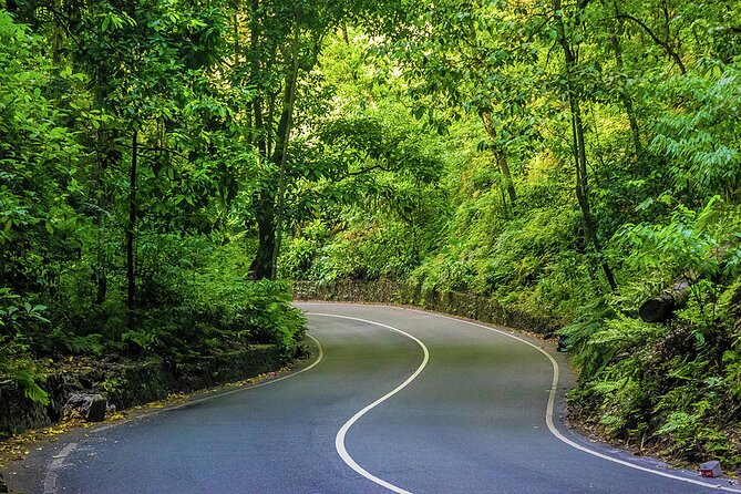 Private Ocho Rios Tour With Dunns River Falls and Lunch - Tour Overview