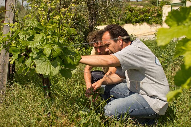 Private Organic Vinegar and Olive Oil Tasting - Key Points