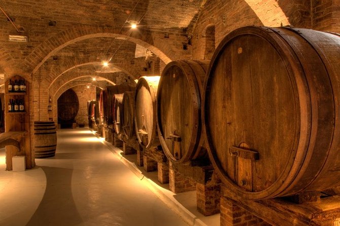 Private Pisa, Pasta and Chianti Lovers Wine Experience Livorno Shore Excursion - Private Guided Tour Overview