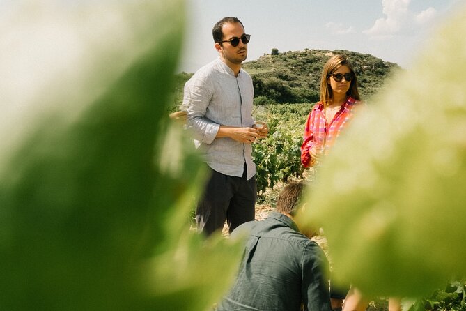 Private Rioja Wine Tour of Vines and Wines in Spain - Good To Know