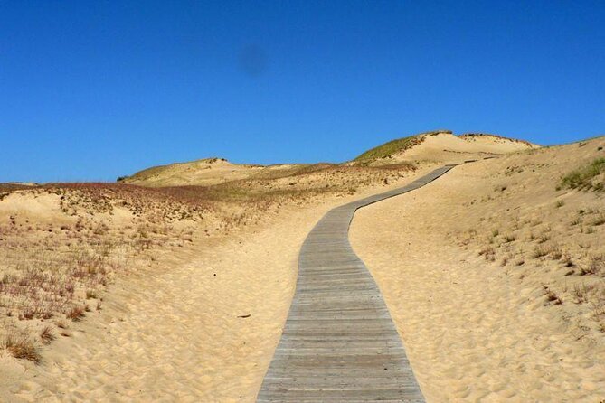 Private Shore Excursion: Curonian Spit and Highlights of Klaipeda - Key Points