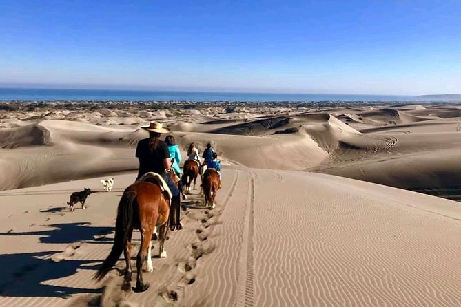 Private Shore Excursion From Valparaiso: Beach Horseback Ride & Viña Del Mar - About Your Stay