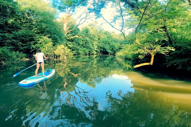 Private Stand Up Paddleboarding Trip on Dyje River - Key Points