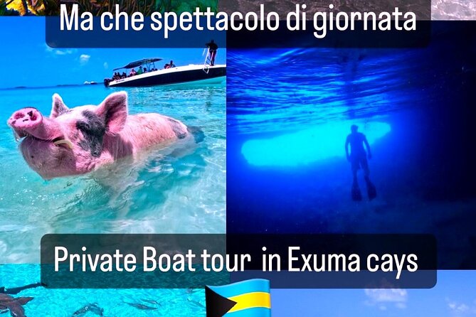 Private Swimming With Wild Pigs in Exuma - a Taste of Paradise! - Meeting and Pickup Details