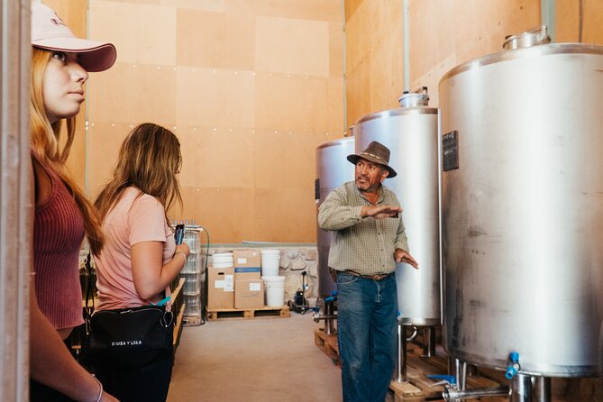 Private Tasting of Piuquenes Wines in Paihuano - About Your Stay