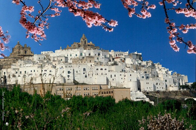Private Tour Alberobello, Locorotondo With Wine Tasting - Good To Know
