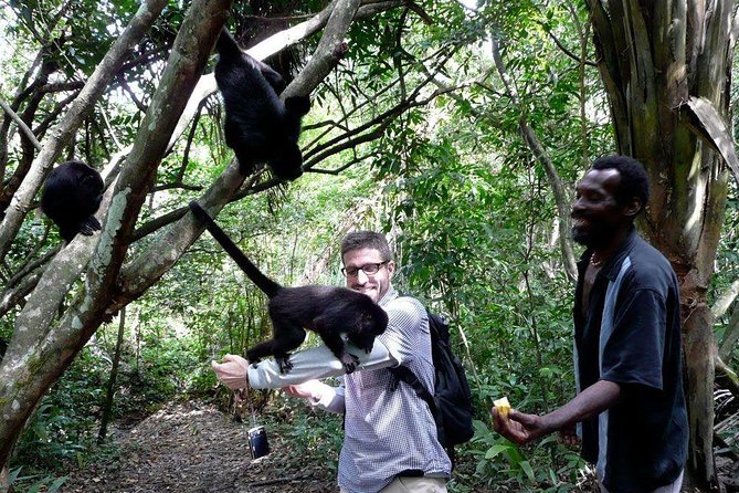 Private Tour Altun Ha Cave Tubing and Baboon Sanctuary From Belize City - Inclusions and Cancellation Policy
