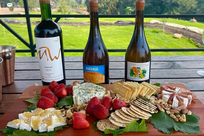 Private Tour at Maturana Wines and VIK Winery With Lunch - About Your Stay