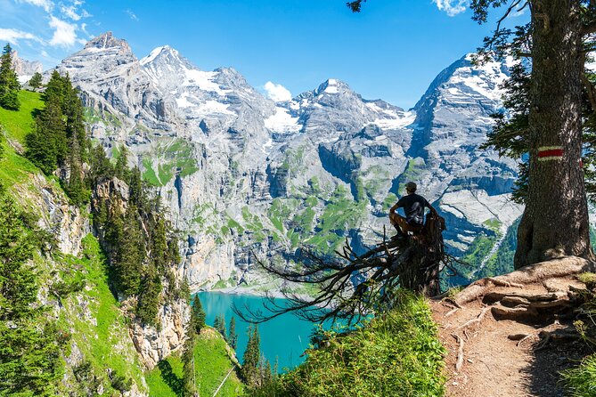 Private Tour Best of Bernese Oberlands From Zurich - Key Points