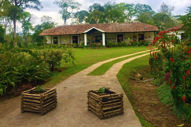 Private Tour - Coffee Tour (Cultivations) - Good To Know