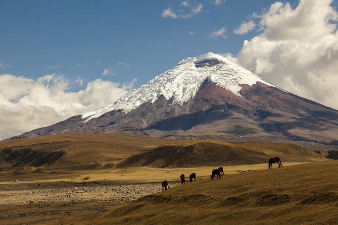 PRIVATE Tour, Cotopaxi, Natural Wonders - Good To Know