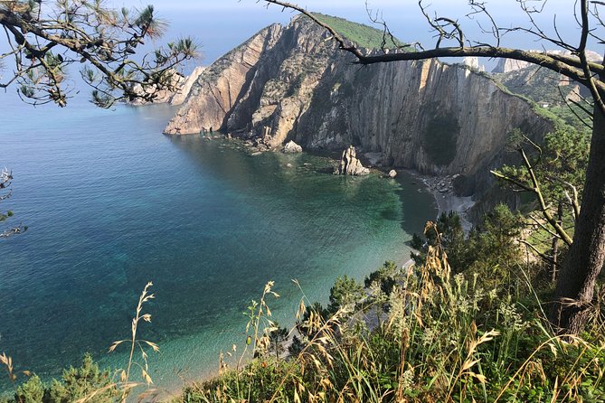 Private Tour Cudillero, Puerto Vega Tremor & Luarca From Oviedo - Pricing and Booking Details
