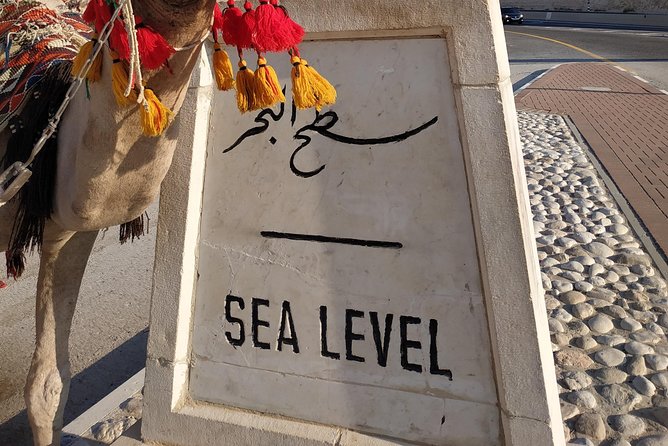 Private Tour: Dead Sea and Masada - Tour Highlights