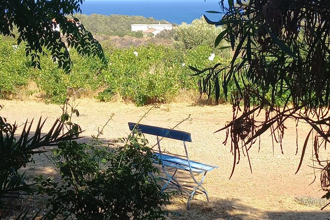 Private Tour: Discover the Secret World of Olives in Afantou - Tour Overview