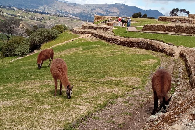 Private Tour From Cuenca to Ingapirca Ruins With Lunch - About Your Stay
