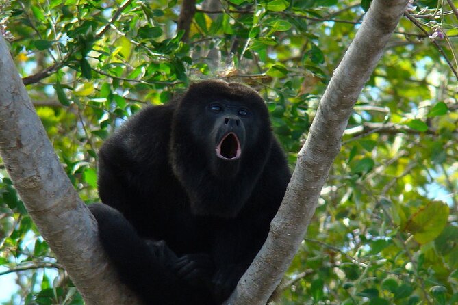 Private Tour From Guayaquil to Churute Ecological Reserve - Good To Know