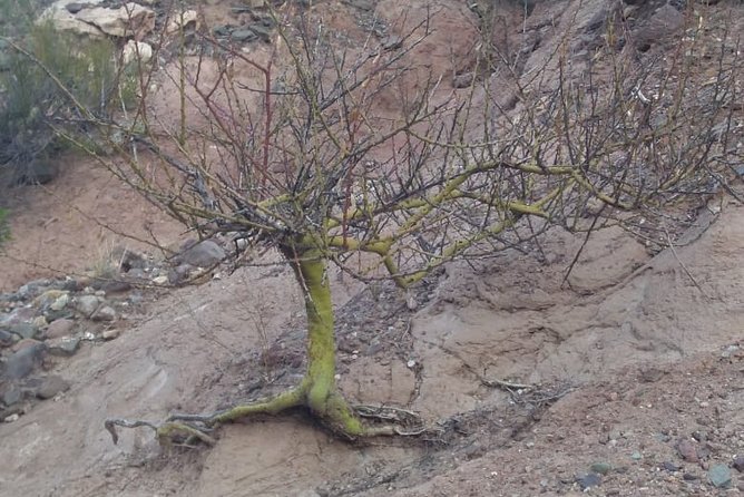 Private Tour From Mendoza to the Divisadero Largo - The Divisadero Largo Natural Reserve