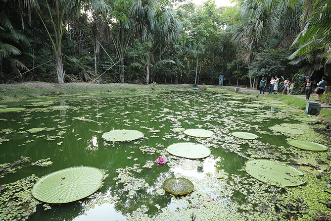 Private Tour of Musa (Botanical Garden, Amazon Museum) - Good To Know