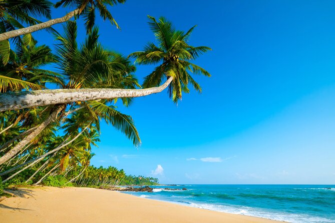 Private Tour On São Tomé Island - Good To Know