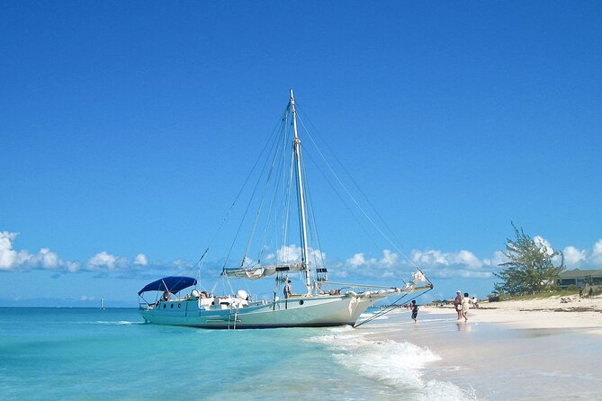 Private Tour Providenciales With Snorkeling and Iguana Island - Key Points