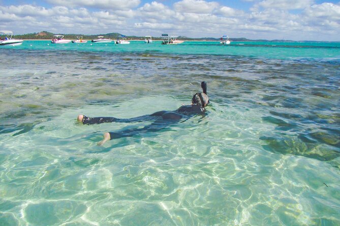 Private Tour Snorkeling in Saint-Martin - Tour Overview