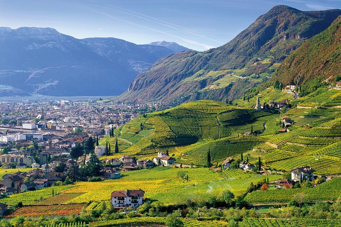 Private Tour the Ultimate South Tyrol Wine & Food Experience - Key Points