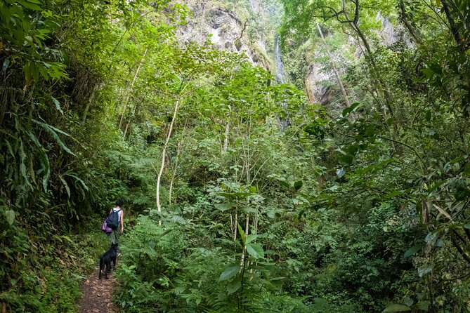Private Tour Through the Chicaque Natural Park and Forest of Fog - About Your Stay